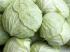 Doğal beyaz lahana 1 kg